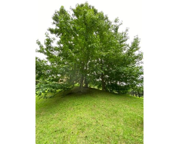 Foto de Sitio do Pau Grande, localizada no Bairro Cachoeira dos Pretos, composta pela Glebas A, B e C, com área total de 467,840 m² (19,4 alqueires), situada no município de Joanópolis/SP