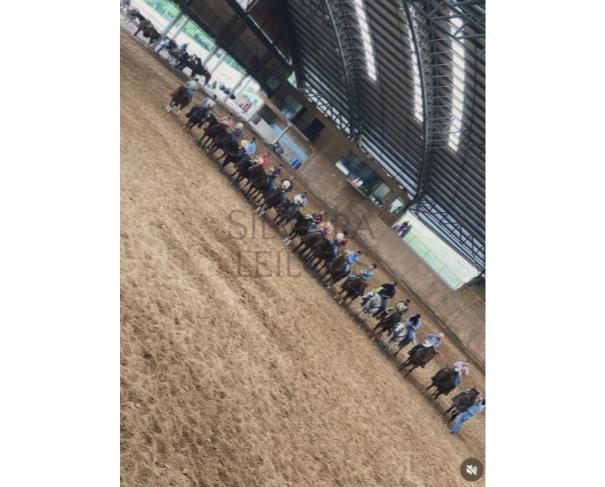 Foto de Um terreno fechado por cercas de arame com benfeitorias denominado Sitio/Haras Monte Alegre, com a área de 70,18 ha., ou vinte e nove (29) alqueires, mais ou menos, ou a área exata que se contiver, situado no Bairro dos Silvas ou Baltazar, Conchas/SP
