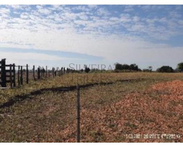 Foto de Um terreno fechado por cercas de arame com benfeitorias denominado Sitio/Haras Monte Alegre, com a área de 70,18 ha., ou vinte e nove (29) alqueires, mais ou menos, ou a área exata que se contiver, situado no Bairro dos Silvas ou Baltazar, Conchas/SP